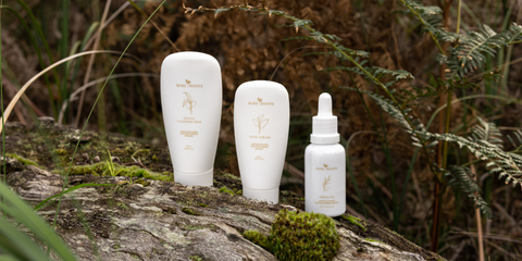 4 Ways to Restore Your Skin This Winter