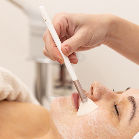 Facial Fan Brush
