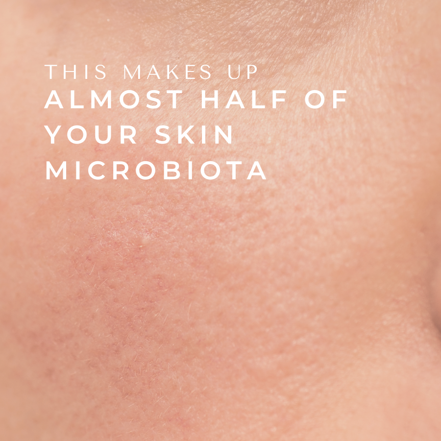 Skin Root THIS Makes Up Almost Half of Your Skin Microbiota! – Bare Roots