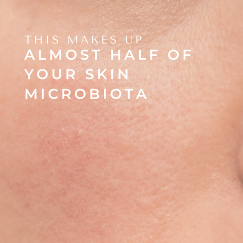 THIS Makes Up Almost Half of Your Skin Microbiota!